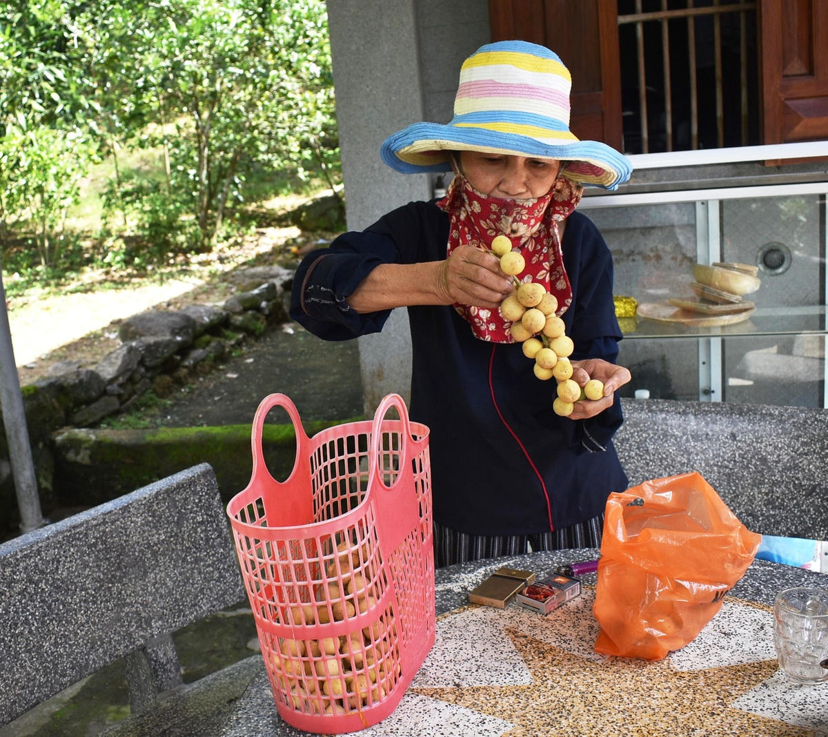 Những trái bòn bon đẹp được người dân lựa chọn để bán giá cao.