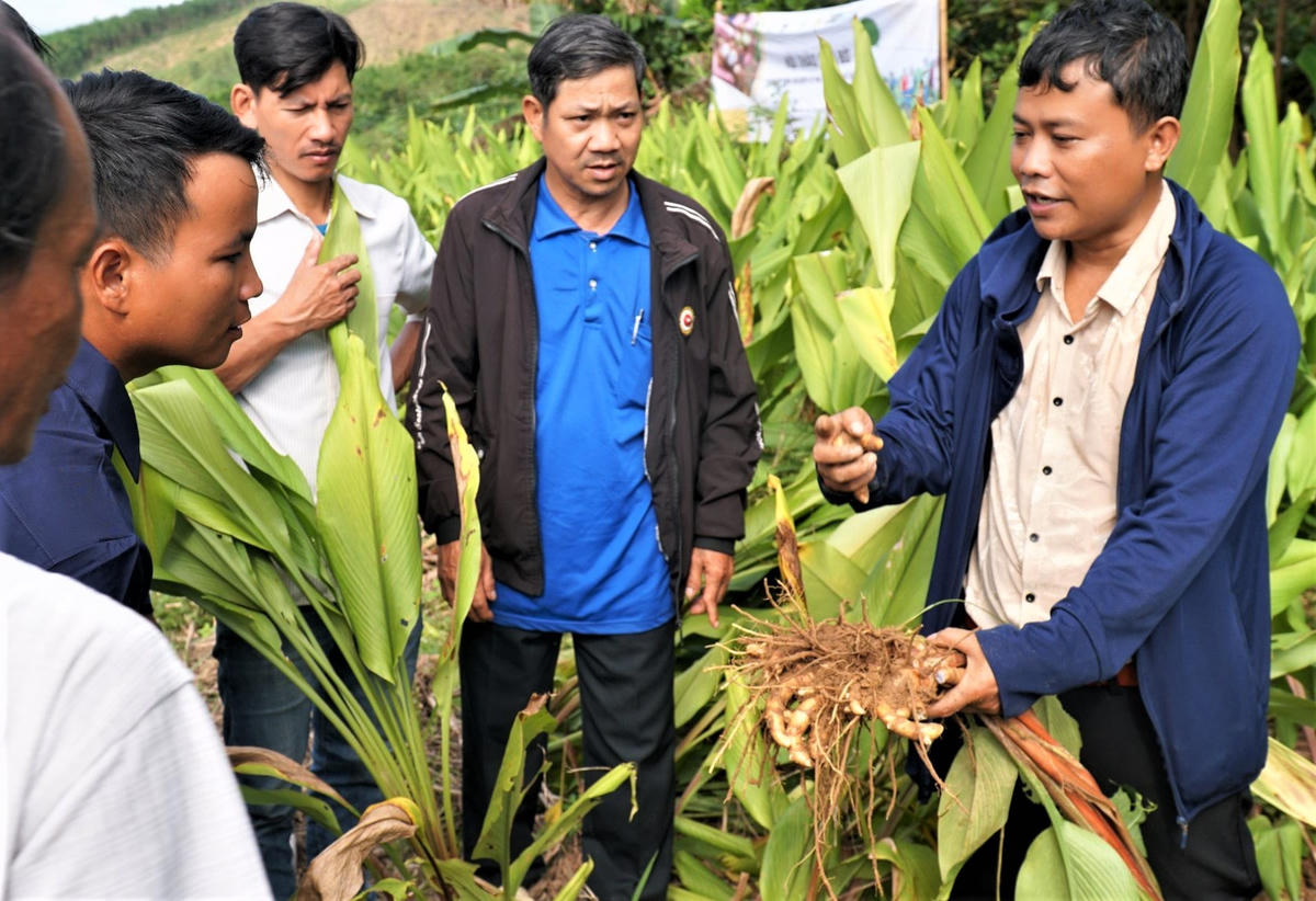 Ông Bríu Tư (ngoài cùng bên phải) chia sẻ kỹ thuật trồng nghệ đen.