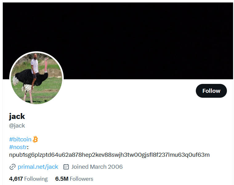 Nhà đồng sáng lập Twitter Jack Dorsey cũng không ngoại lệ, khi tài khoản bị