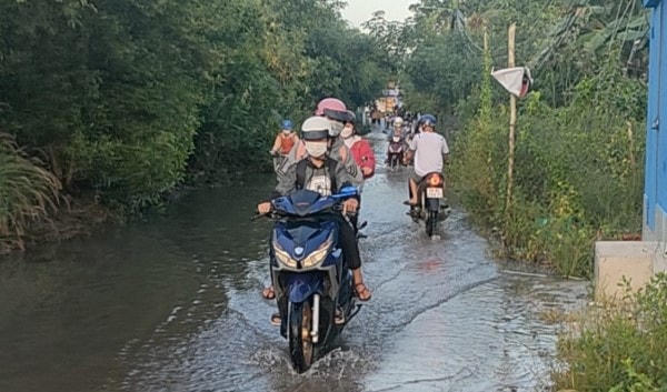 Triều cường dâng cao tại các tuyến đường GTNT