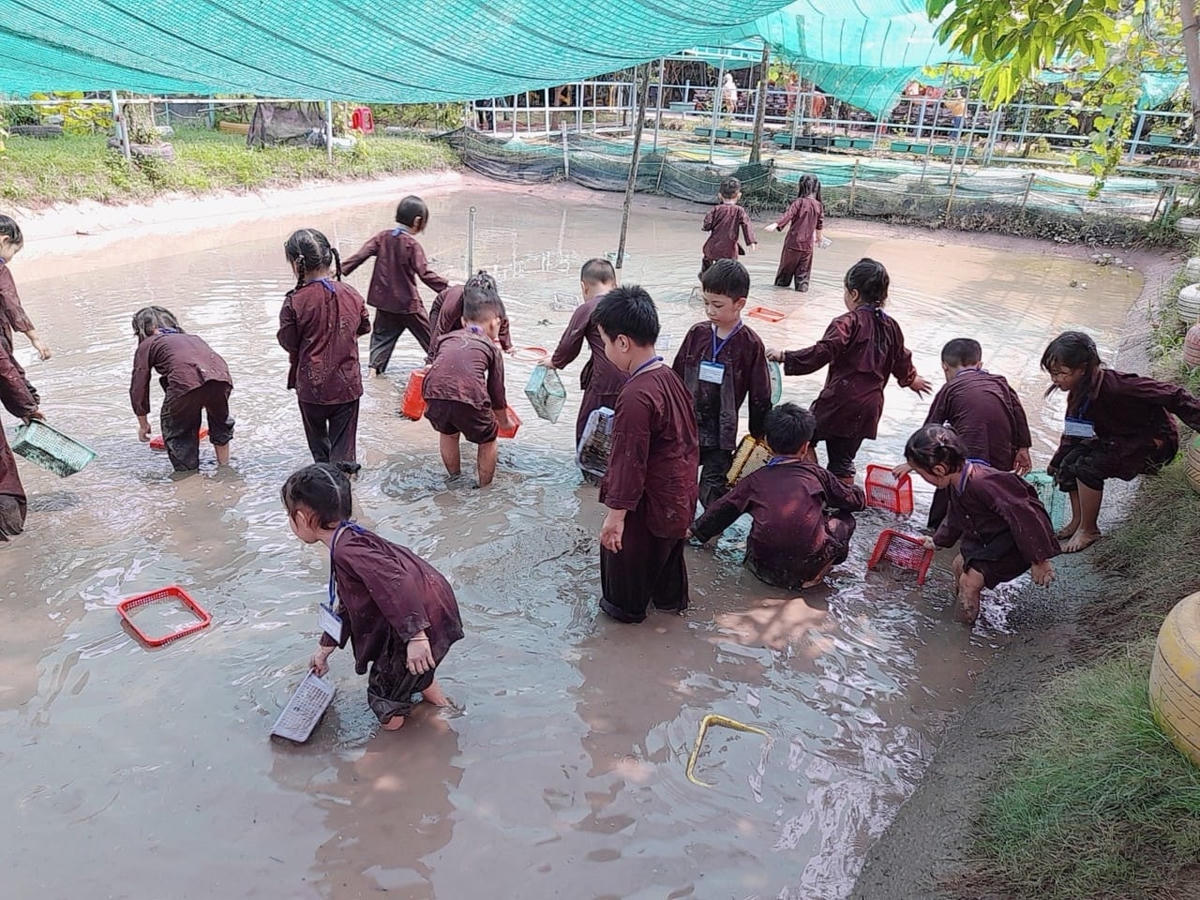 Nhiều loại hình dạy kỹ năng hè cho trẻ ở TPHCM.