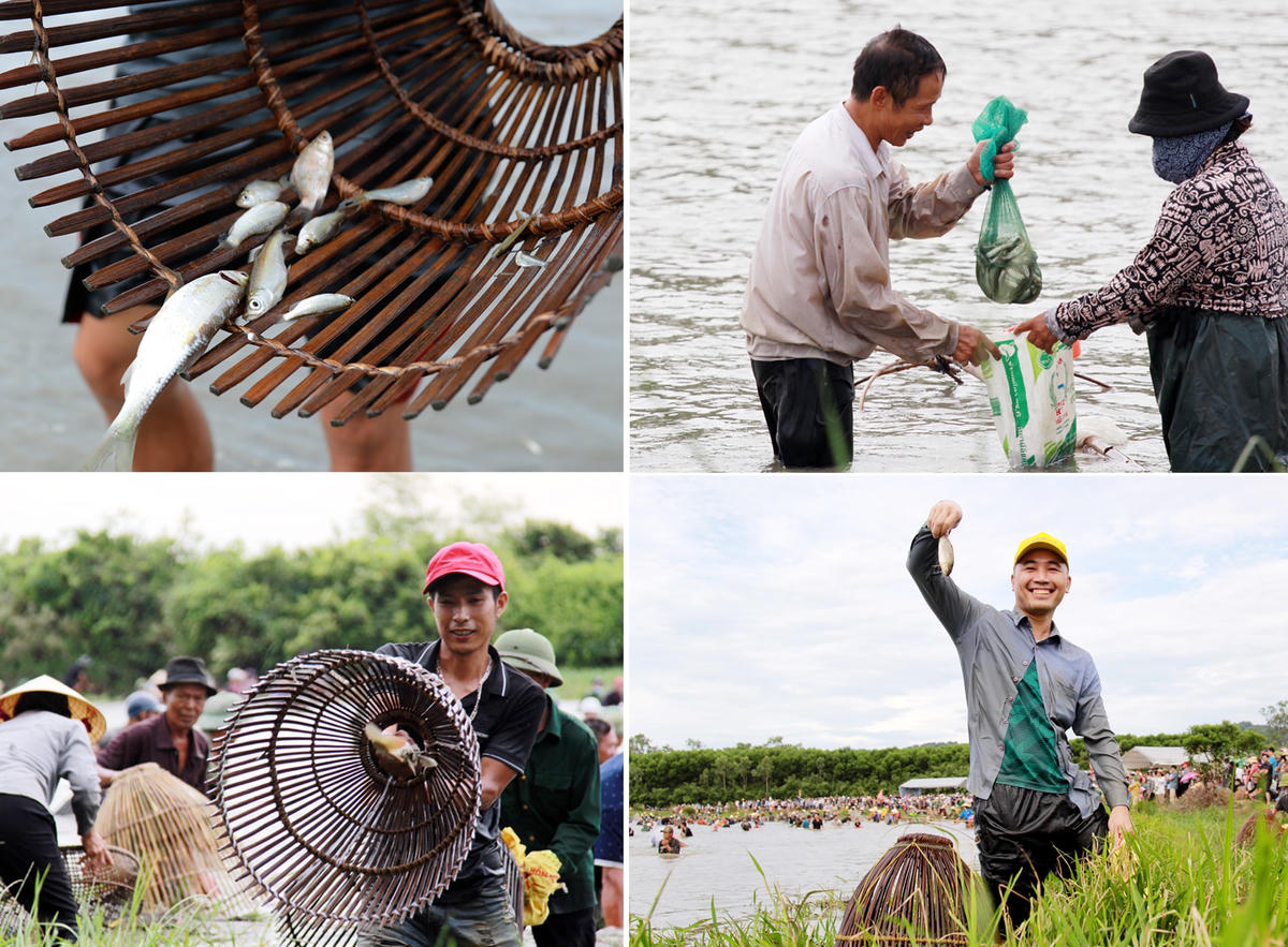  Cá nhỏ to đều được người dân thu gom.