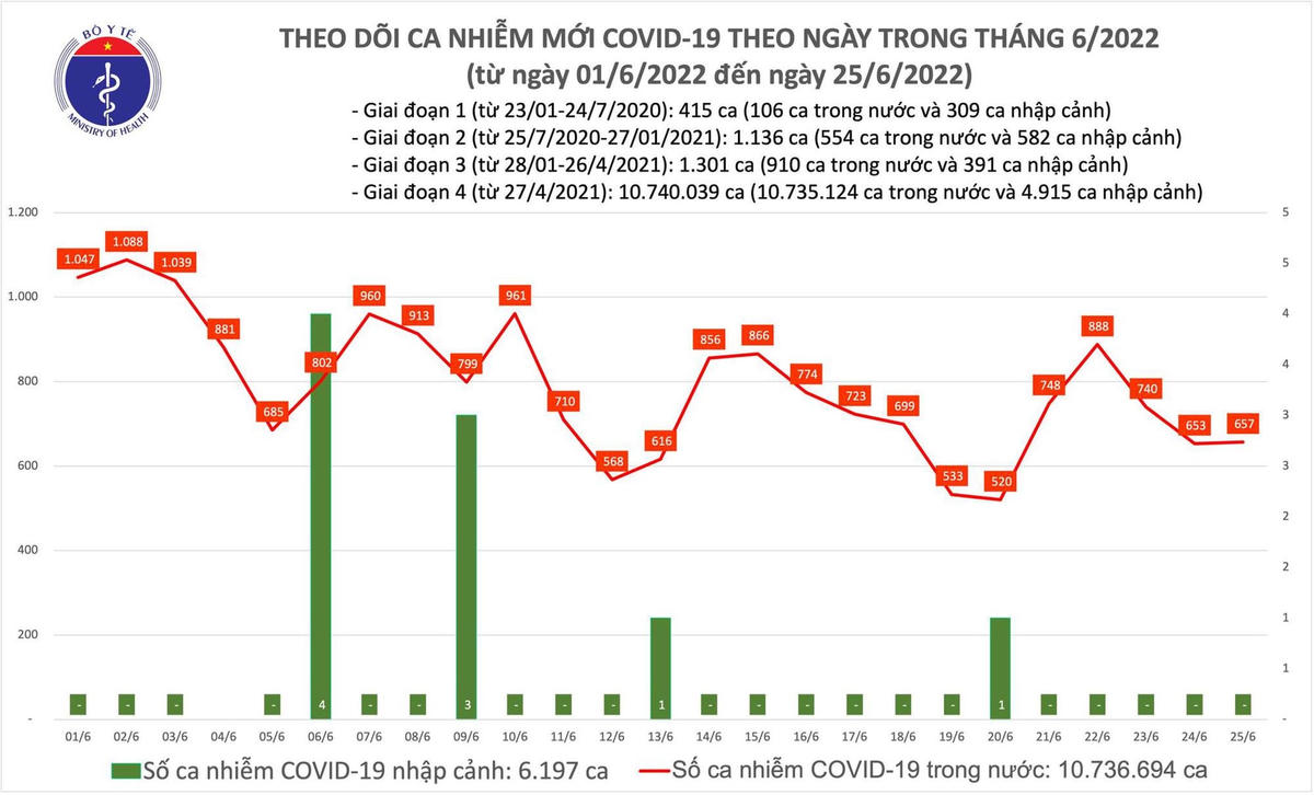 Biểu đồ số ca mắc Covid-19 tại Việt Nam đến chiều ngày 25/6.
