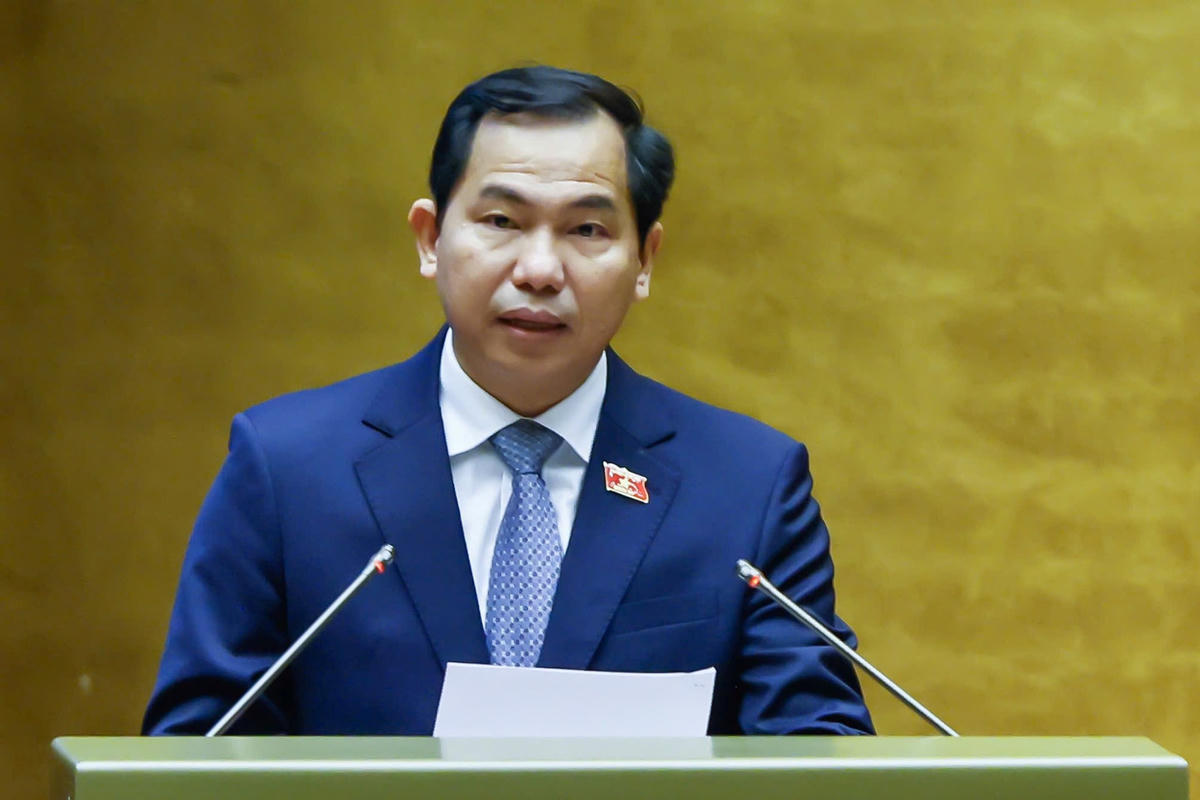 Ông Lê Quang Mạnh phát biểu tại phiên họp (Ảnh: Quang Vinh)