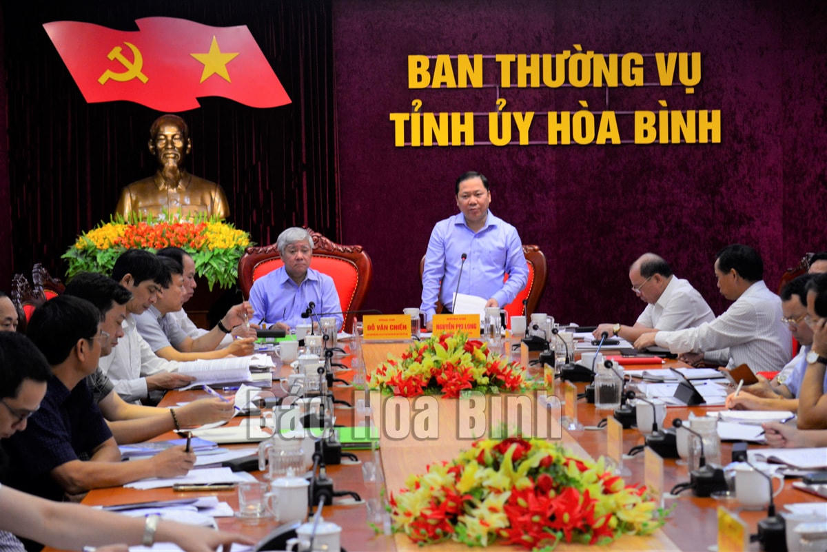 Đồng chí Nguyễn Phi Long, Ủy viên dự khuyết BCH Trung ương Đảng, Bí thư Tỉnh ủy phát biểu tại buổi làm việc. 