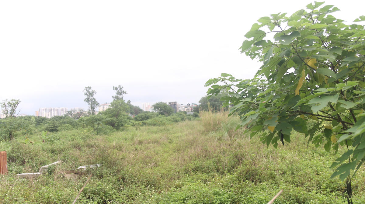 Bãi đất hoang của dự án vẫn đang nằm im sau nhiều năm. Một người dân khác, ông Nguyễn Phú (72 tuổi, Thanh Xuân, Hà Nội) chia sẻ thêm: "Hiện nay chúng tôi chưa có một bệnh viện nào chính thức nên muốn đi khám phải đến Bệnh viện Xây Dựng trước đó chỉ là một bệnh xá được nâng cấp lên. Vì vậy nhiều người dân không chỉ mình tôi rất mong đơi dự án này được hoàn thiện. Vậy nhưng thời gian qua không có tiến triển gì tại nơi đây".
