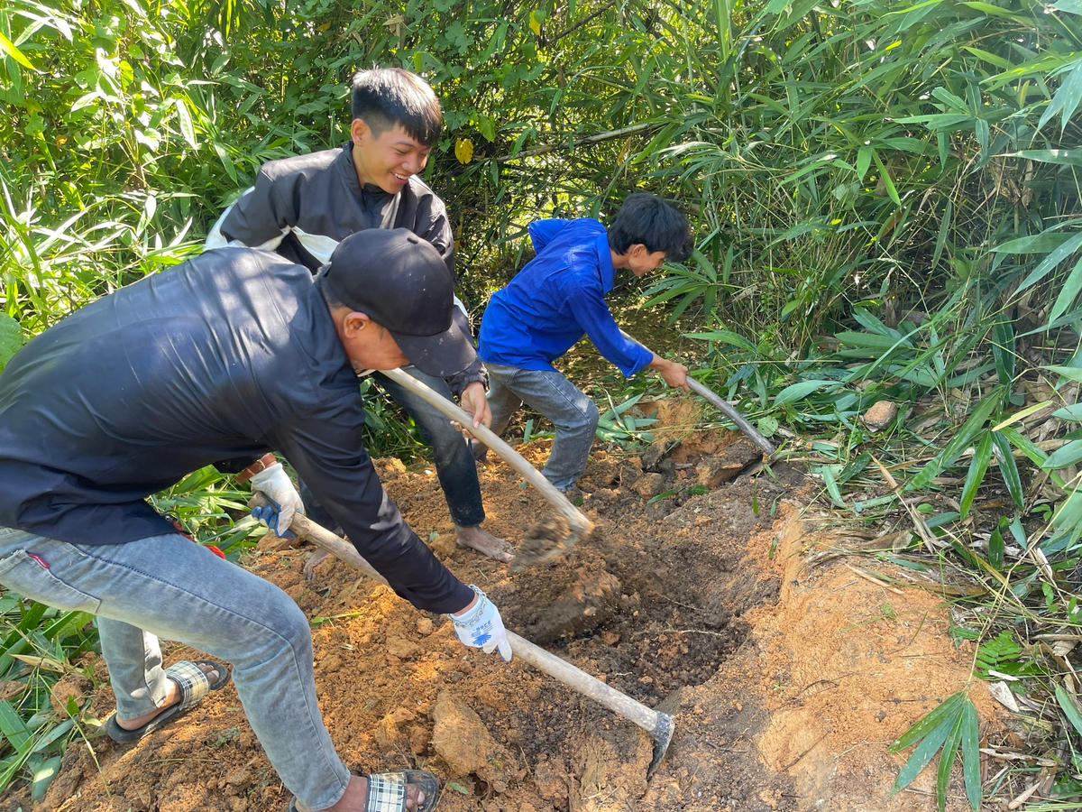 Nhiều đoạn đường, cây cối mọc um tùm.