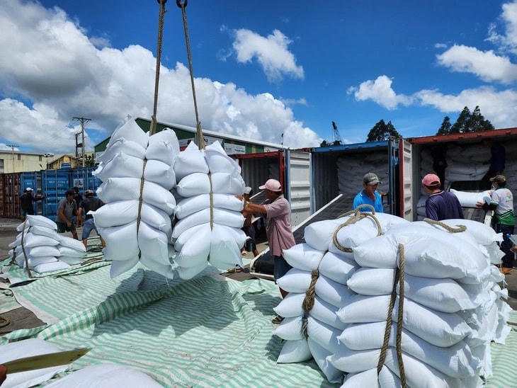 Giá gạo xuất khẩu vẫn tiếp tục đà giảm.