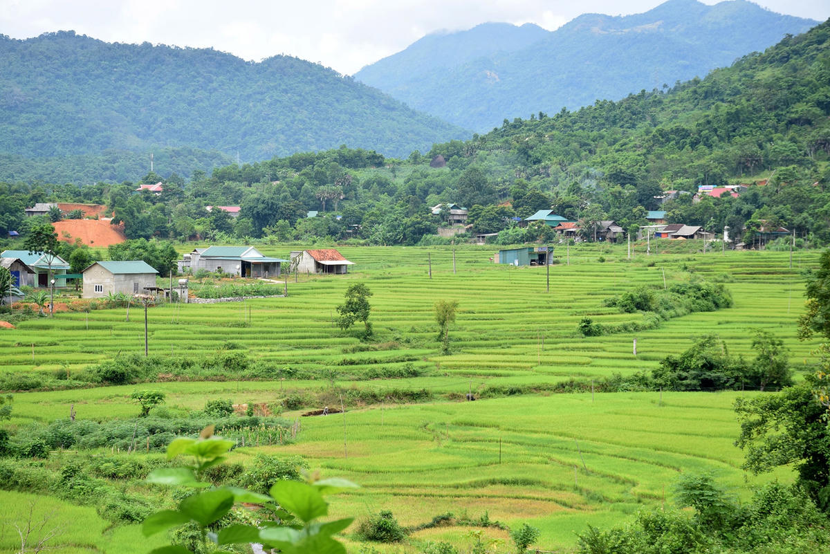 Miền Tây Nghệ An nỗ lực thoát nghèo. (Nguồn: baonghean.vn)