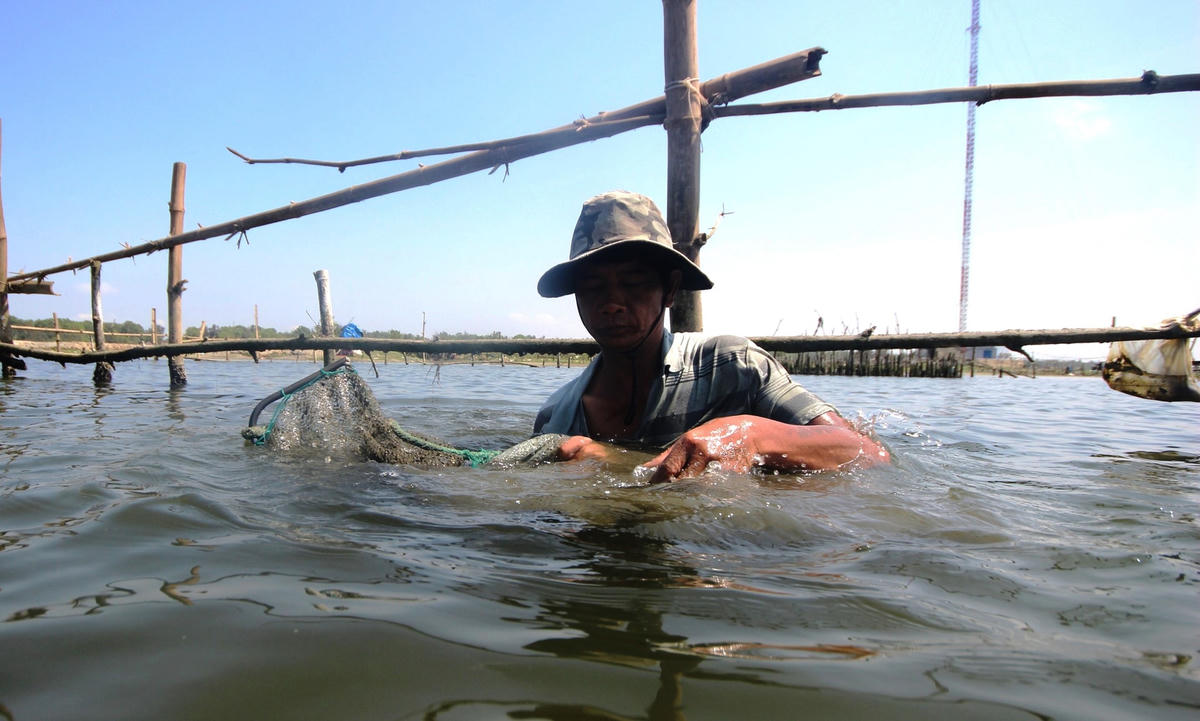 Ông Trần Văn Tô ngâm mình trong nước cào hến trên sông Trường Giang.