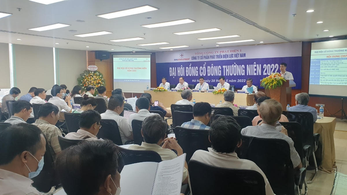 Các đại biểu tham dự Đại hội đồng cổ đông thường niên Công ty Cổ phần phát triển điện lực Việt Nam năm 2022.