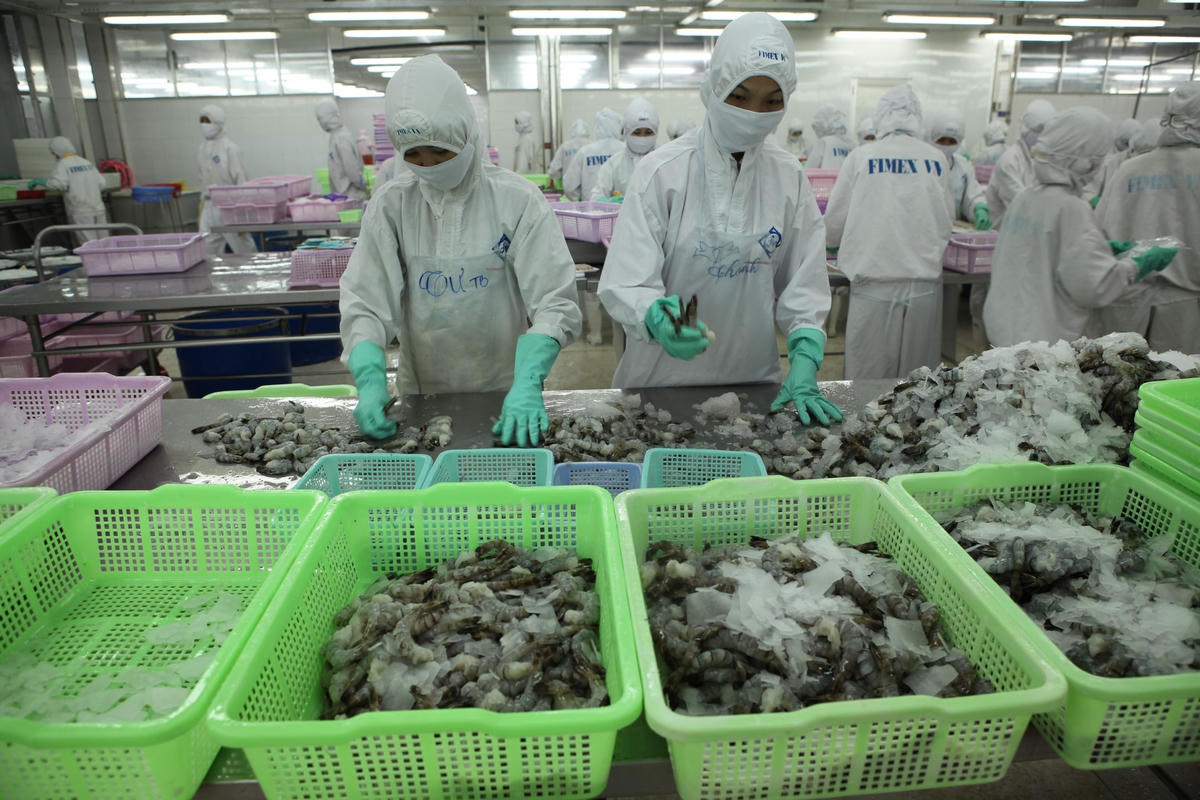 Các doanh nghiệp của Việt Nam đang đẩy mạnh xuất khẩu sang thị trường EU. Ảnh: Quang Vinh