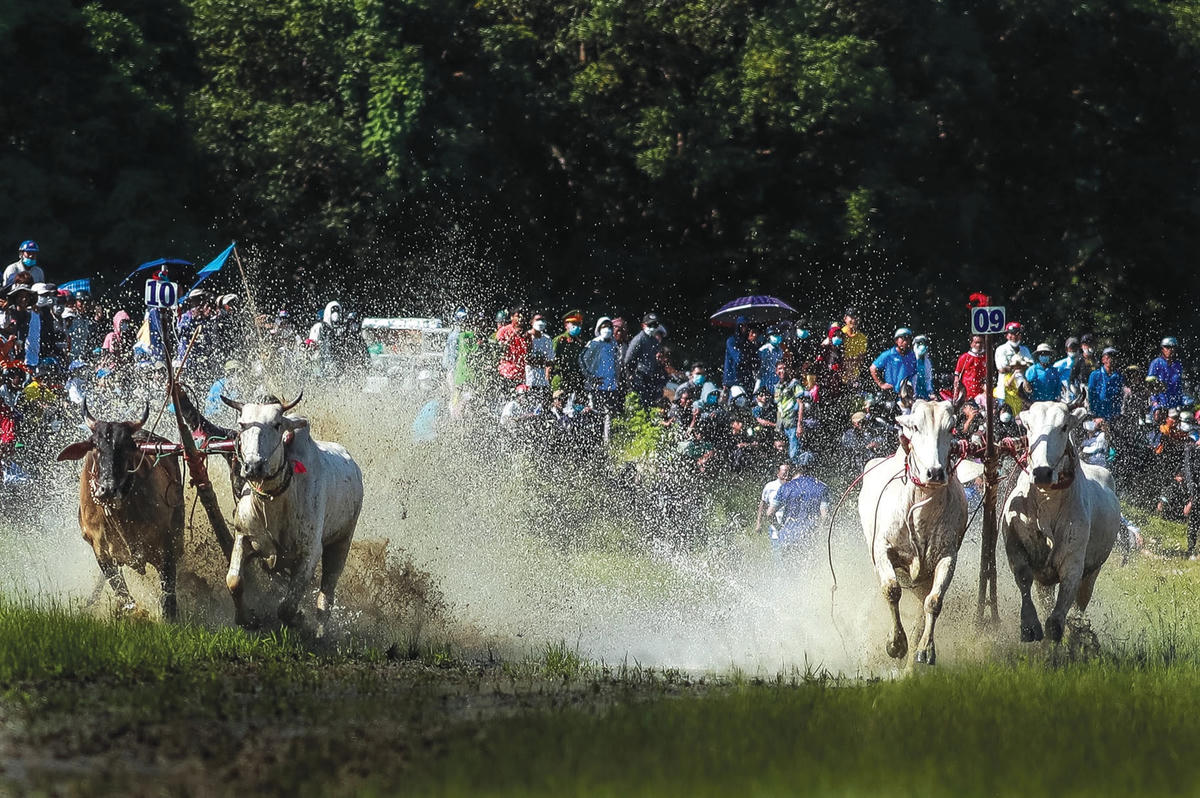 Màn rượt đuổi gay cấn.