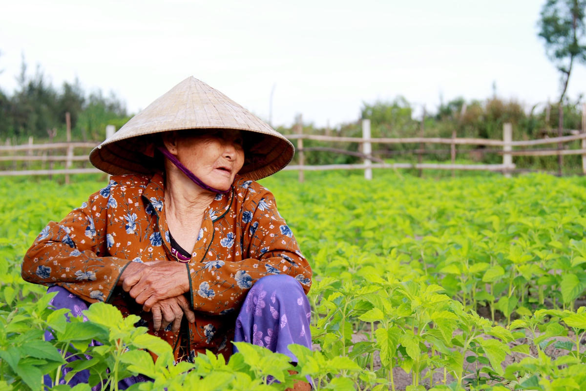 Một hộ dân thuộc diện di dời tái định cư nhưng phải quay về nơi ở cũ để kiếm kế sinh nhai.