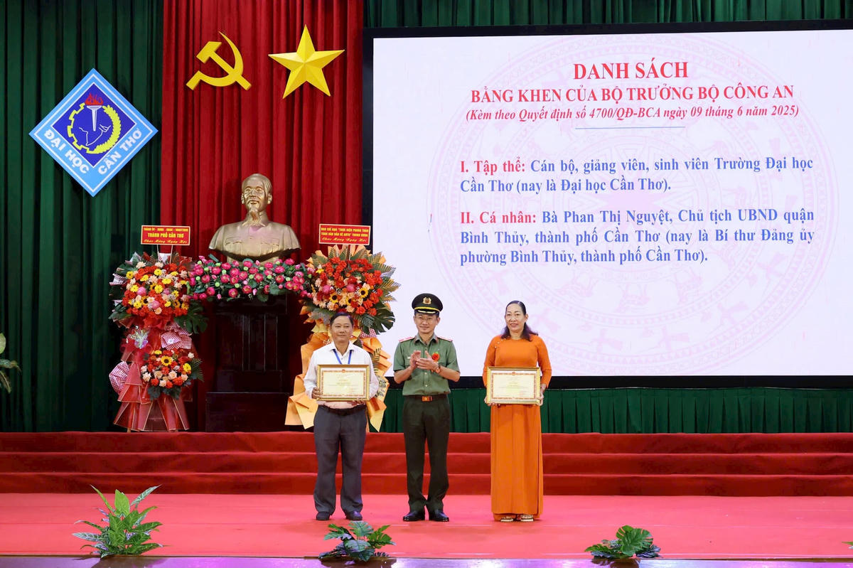 ANH 3