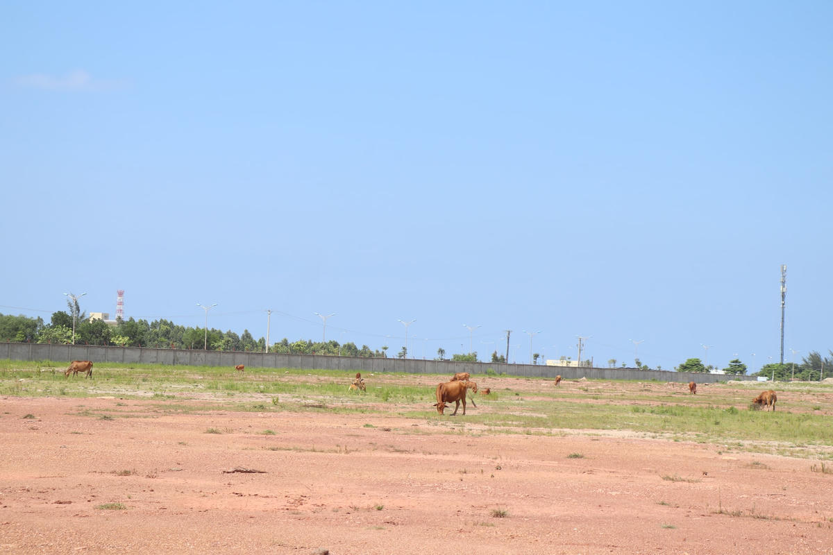 Khuôn viên dự án rộng hàng chục ha vẫn còn hoang sơ