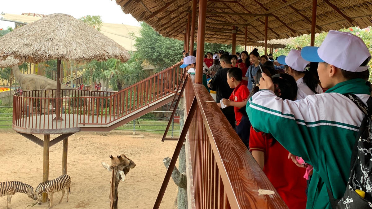 Cần đảm bảo an toàn cho học sinh khi đi dã ngoại. Ảnh minh họa.