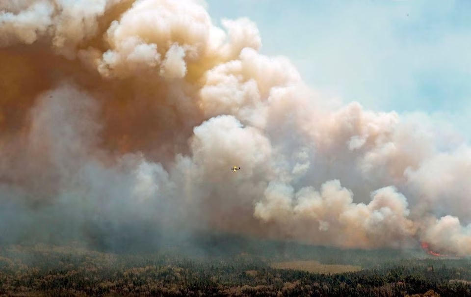 Khói bốc lên từ các đám cháy rừng ở Canada. Ảnh: Reuters.