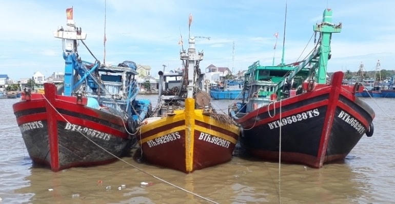 Các tàu cá tại tỉnh Bình Thuận.