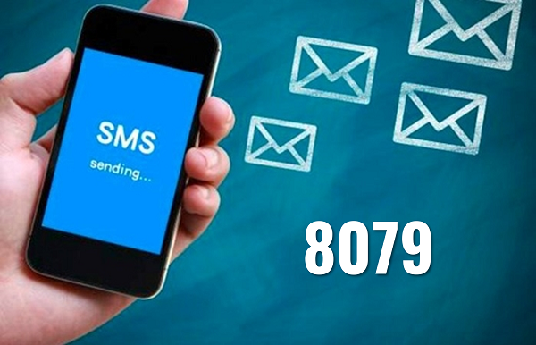 Thông báo tạm dừng triển khai tin nhắn tra cứu đến đầu số 8079. Ảnh minh hoạ: BHXH Việt Nam.