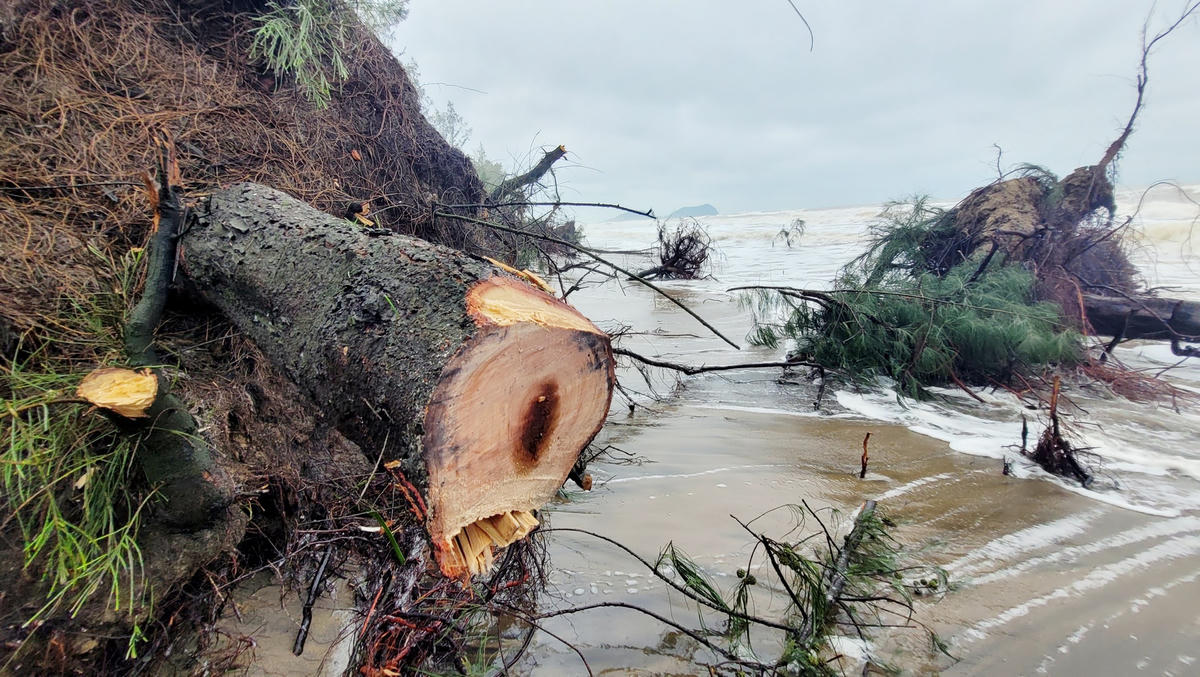 Chính quyền địa phương đã họp dân để tìm cách ứng phó mỗi khi có mưa lũ đồng thời có văn bản trình lên UBND huyện Nghi Xuân để xin nguồn vốn khắc phục triệt để nhưng chưa có vốn.