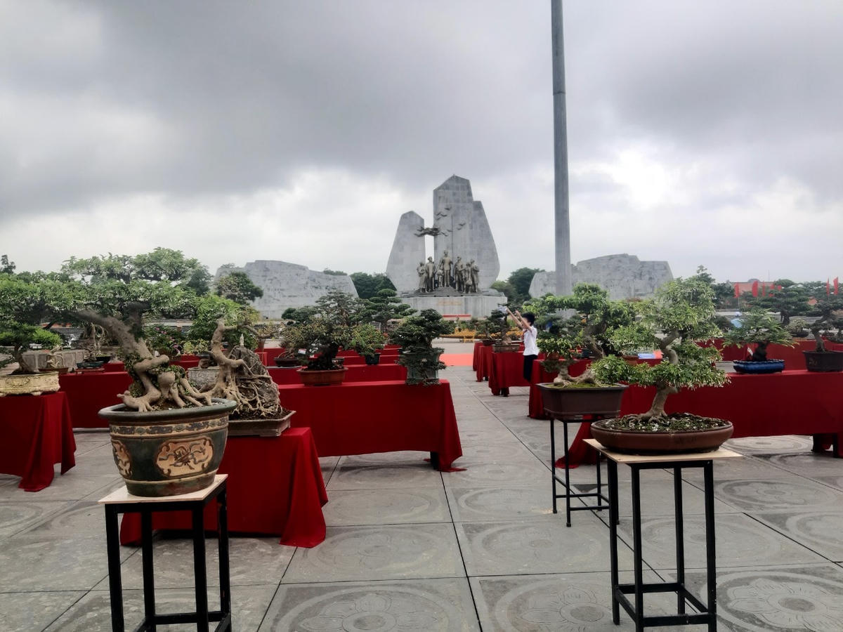 300 cây cảnh quy tụ về Quảng Trường Hồ Chí Minh (thành phố Đồng Hới) tạo nên không gian sinh vật cảnh sinh động.
