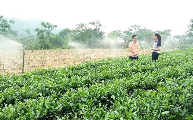 Cần có cơ chế chính sách hỗ trợ nông dân.