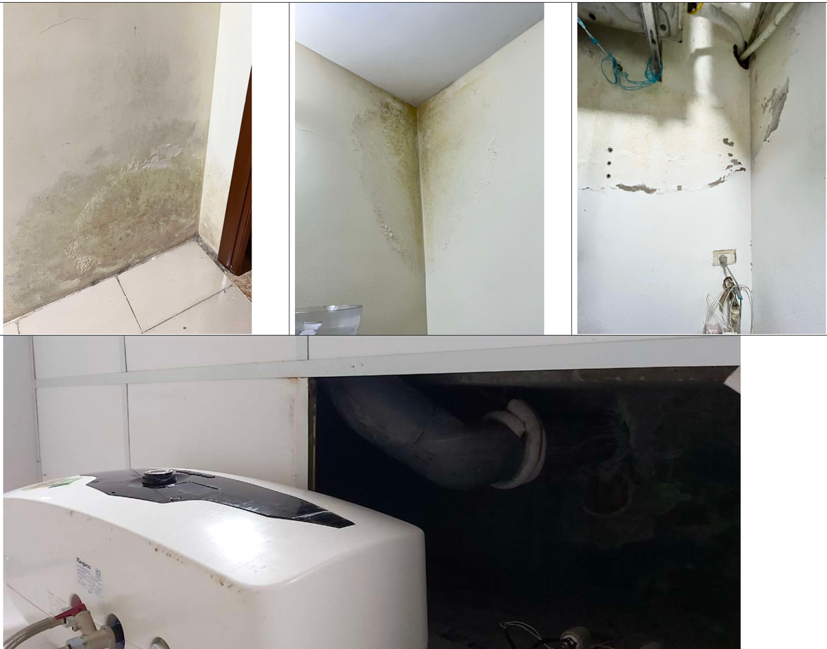 Những mảng tường bong chóc, ố màu, thường xuyên ẩm mốc vì ngấm nước.