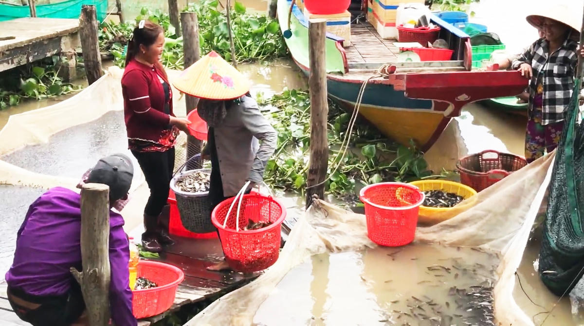 Những chợ sản vật mùa lũ ở biên giới Đồng Tháp Mười.