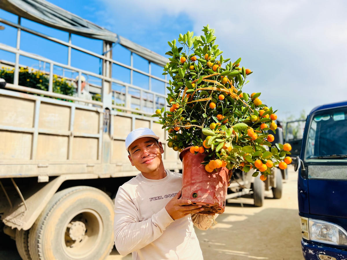 Người dân vui vẻ đưa chậu quất xuống tàu ra đảo.