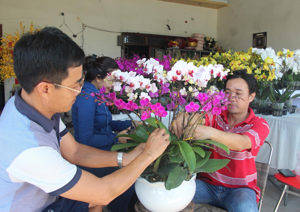 Chủ cửa hàng đang giao chậu hoa lan hồ điệp cho khách.