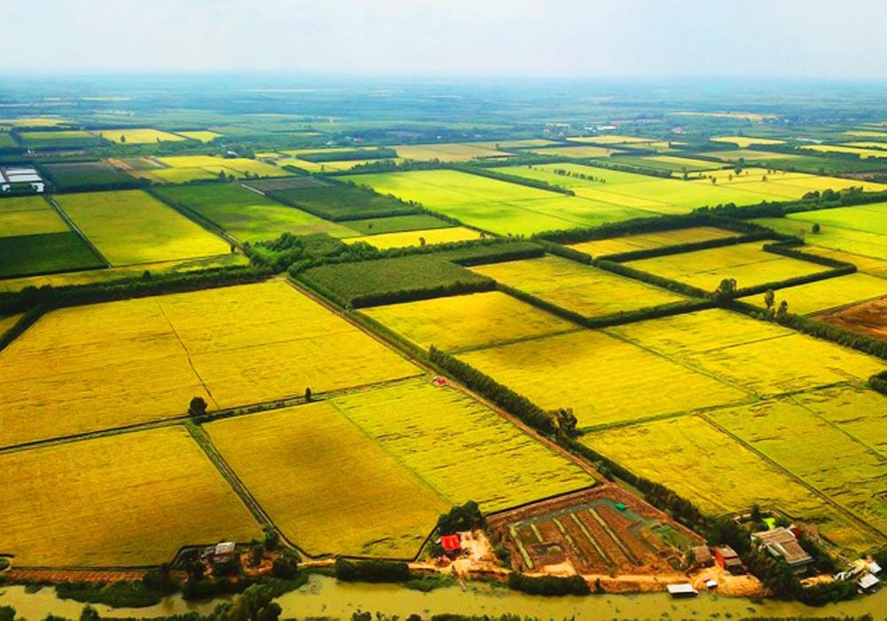 Cần xem xét giao đất hoặc cho thuê đất theo quy định đối với người đang sử dụng đất thuộc đối tượng cần phải bố trí đất nông nghiệp, có nhu cầu tiếp tục sản xuất nông nghiệp.