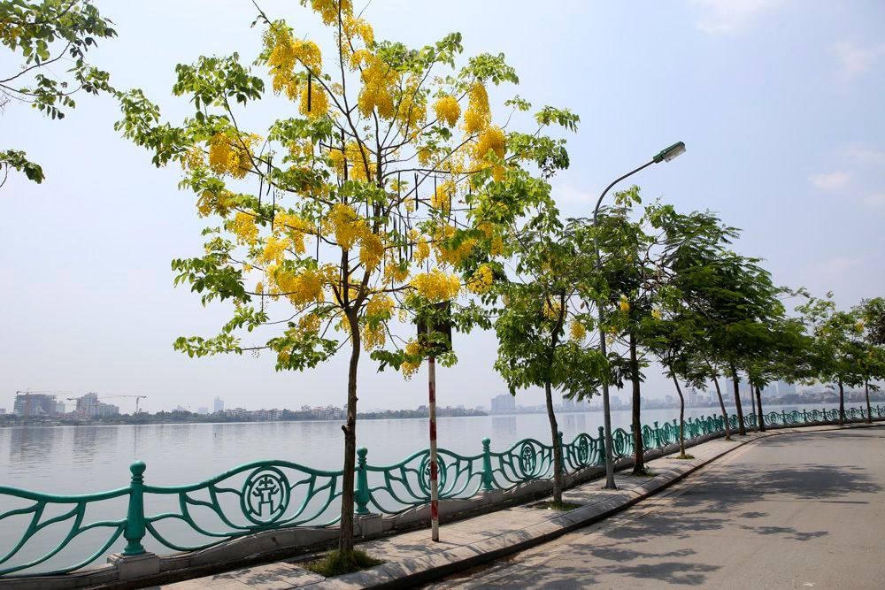 Một góc hồ Tây. Ảnh: Thu Quỳnh.