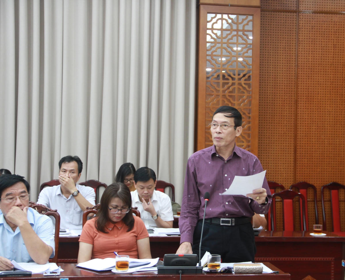 Các đại biểu phát biểu tại hội nghị.