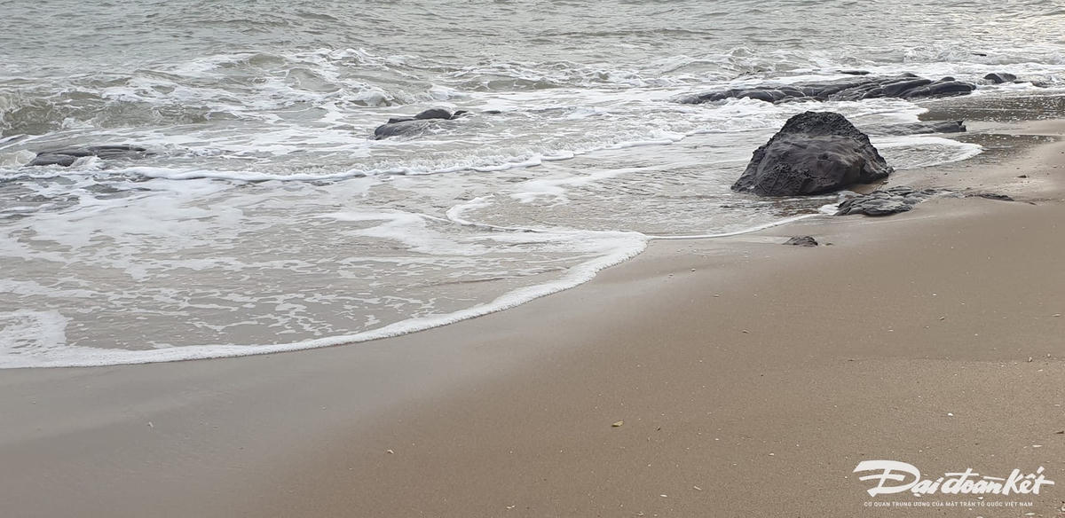 484976125_3131848493636151_9207883301878133431_n (1)