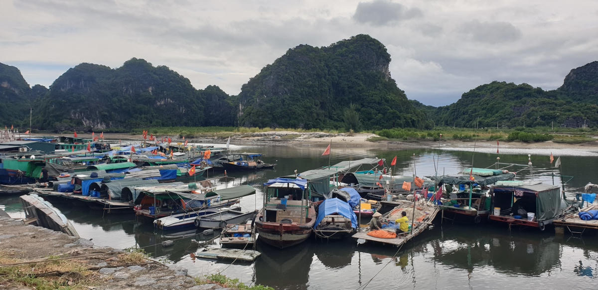 Khi nghe thông tin dự báo về việc bão số 5 bất ngờ đổi hướng và đang tiến nhanh vào khu vực Vịnh Bắc Bộ với sức gió ngày càng mạnh, bà con ngư dân khẩn trương di chuyển vào bờ tránh trú.