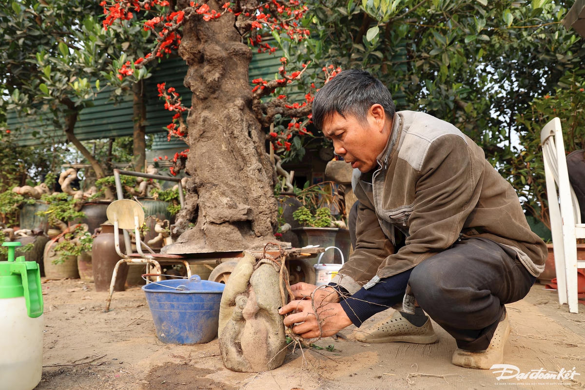 dao_that_thon-le-khanh34.jpg