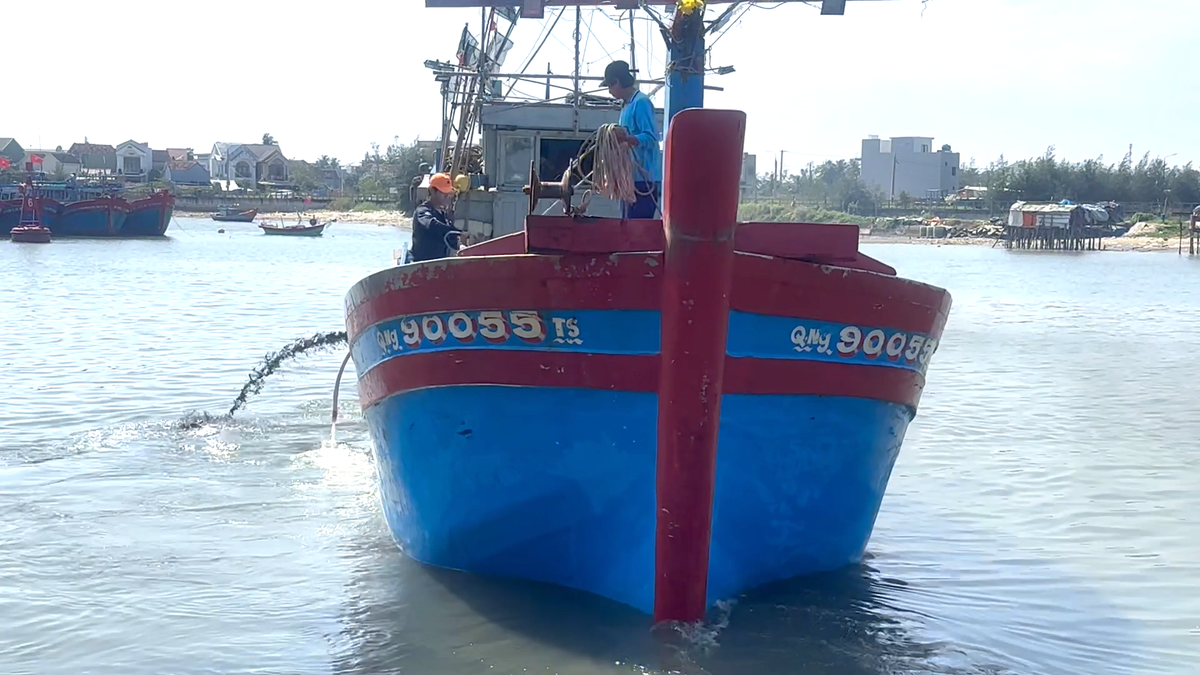 Ngư dân Quảng Ngãi vươn khơi bám biển xuyên Tết