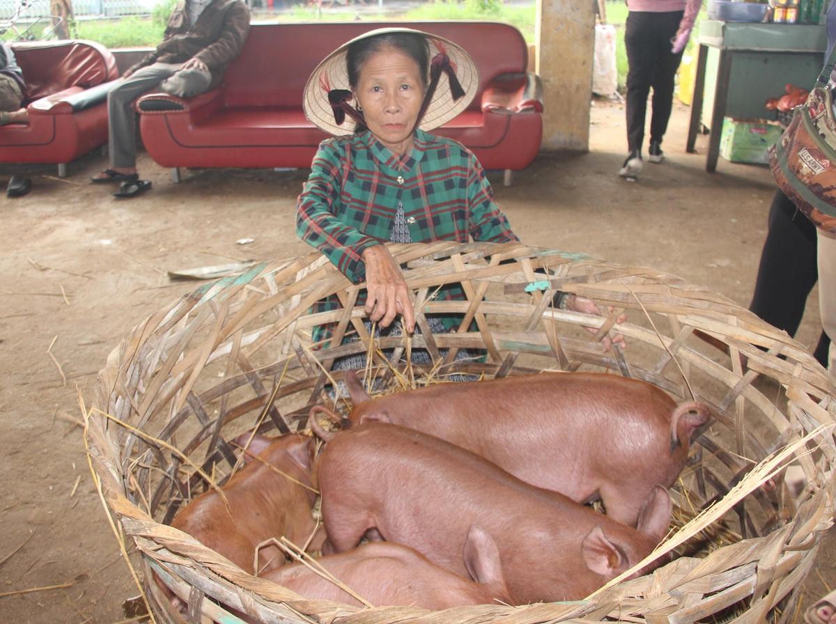 Người dân ngồi bán tại chợ heo Bà Rén.