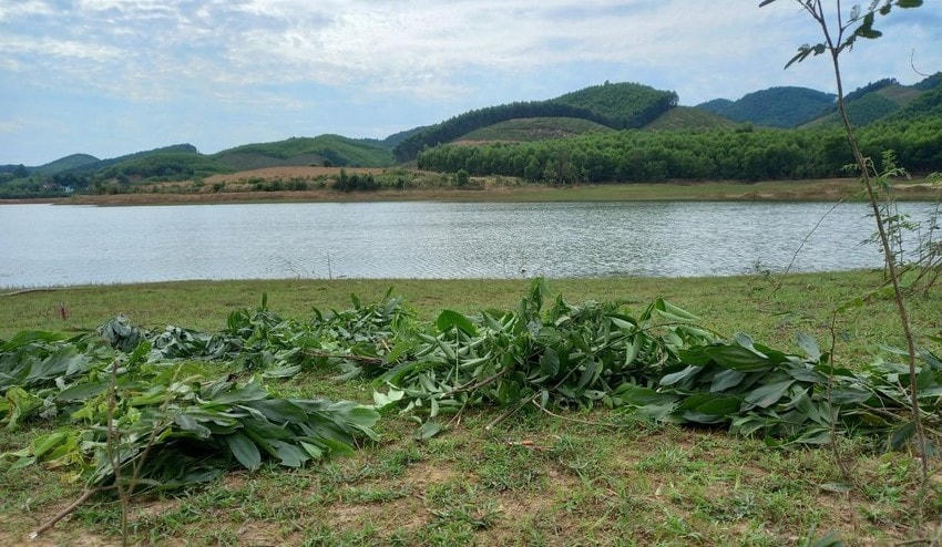 Hiện trường nơi xảy ra vụ đuối nước thương tâm.