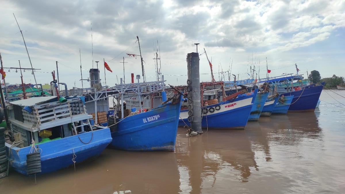 Giá xăng dầu tăng cao, rất nhiều tàu cá tại thị trấn Gành Hào huyện Đông Hải tỉnh Bạc Liêu đánh bắt bị thua lỗ phải đưa tàu vào bờ.