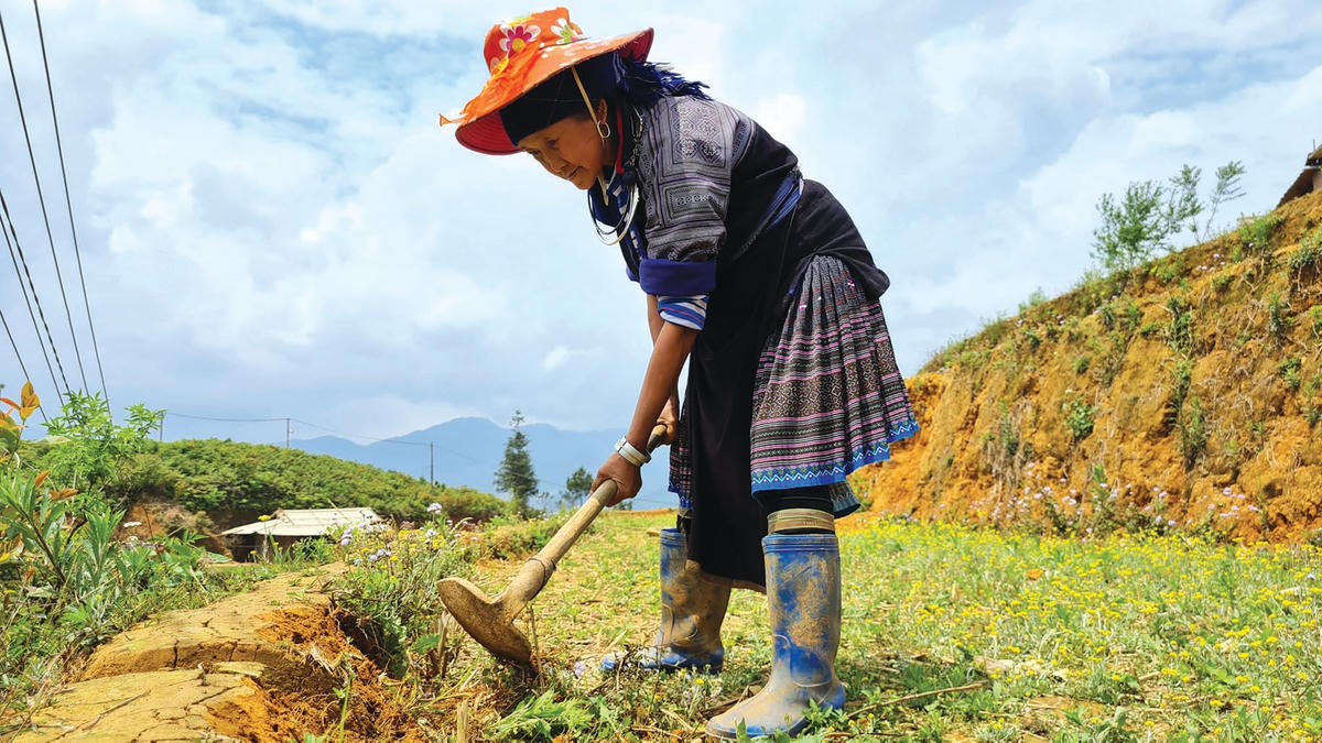 Bà Lù Thị Lỳ thường xuyên tu sửa để giữ gìn cảnh quan đồi Mâm xôi.  