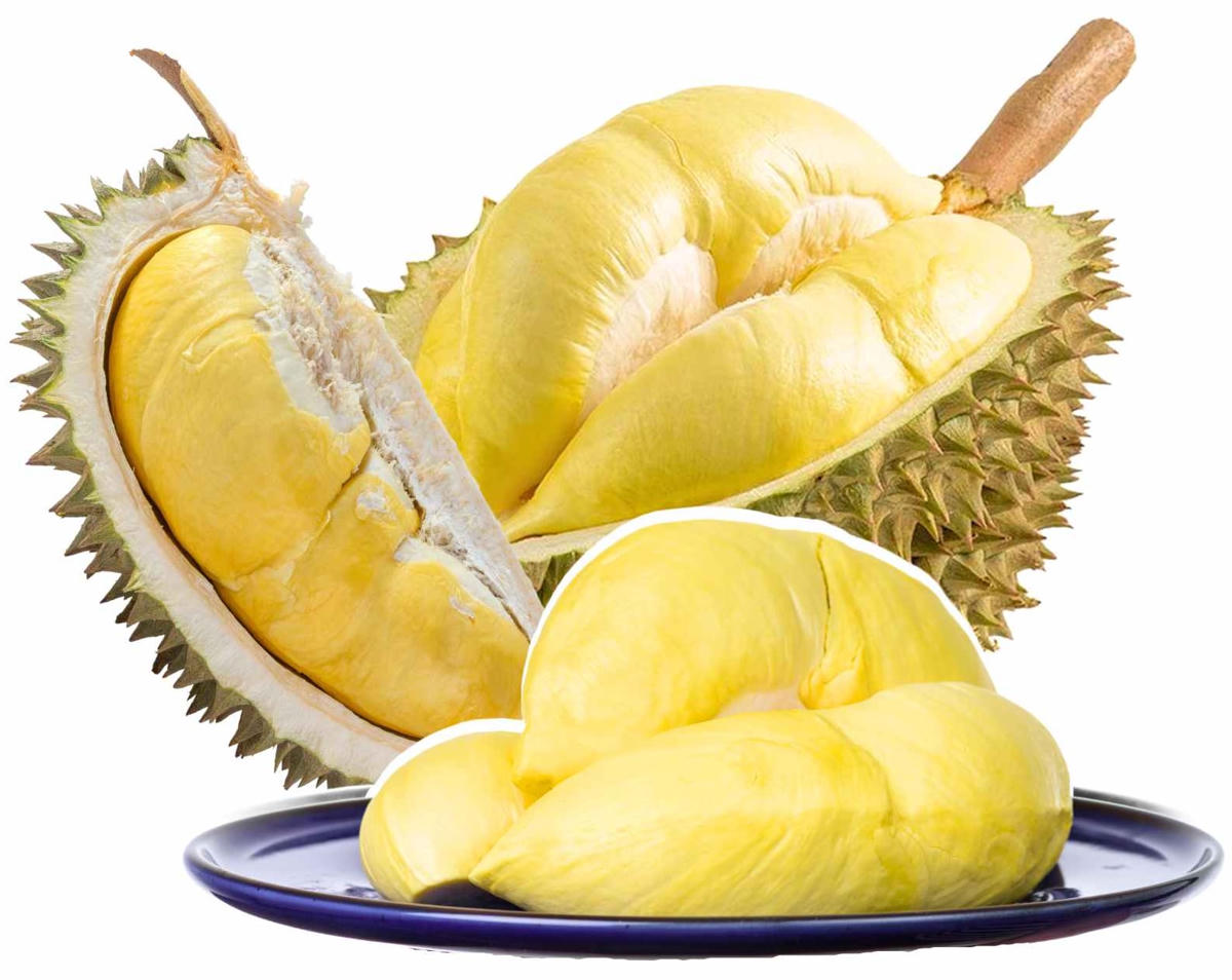 Sầu riêng có nhiều vi chất tốt cho cơ thể.