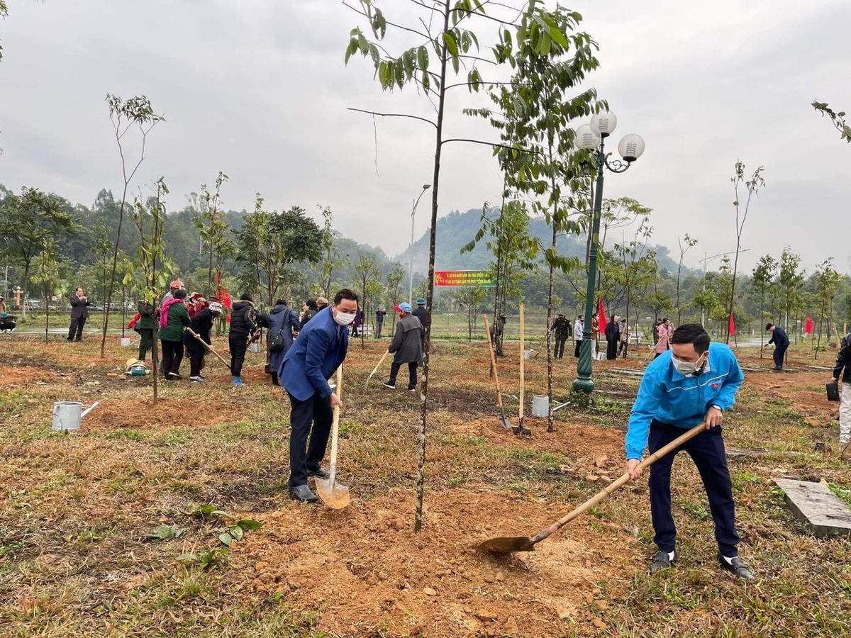 Hành động này góp phần phủ xanh đồi trọc, phát triển kinh tế địa phương