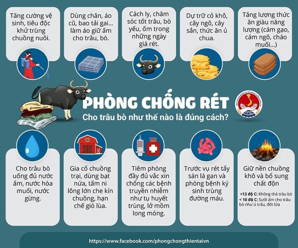 'Infographics': Rét hại và cách phòng tránh