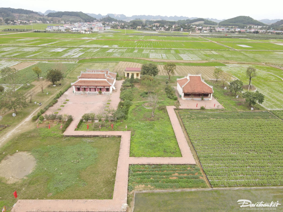 W_dji_fly_20240311_125306_615_1710136396770_photo.jpg
