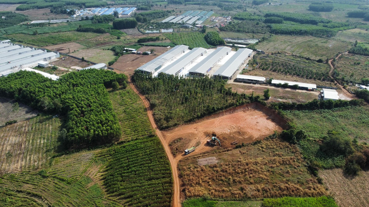 Kế bên thửa đất bị san hạ là hàng loạt trang trại chăn nuôi được xây dựng trên đất nông nghiệp. Ảnh: Mạnh Thìn.