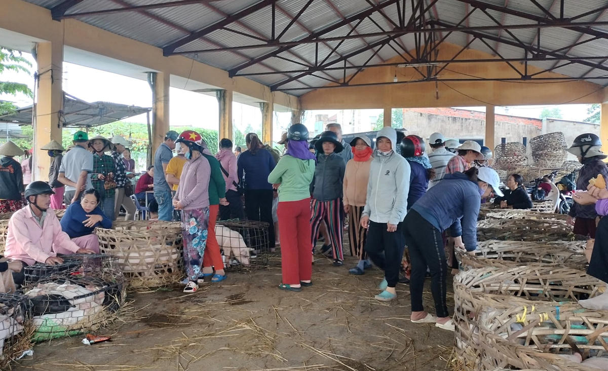 Một góc bên trong chợ heo Bà Rén.