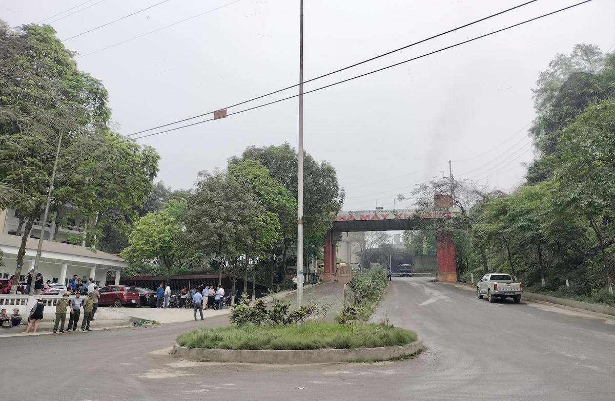 xi-mang-2.jpg