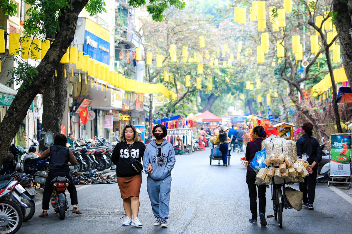 Chợ hoa Hàng Lược rực rỡ dịp cận Tết Nguyên đán 2023